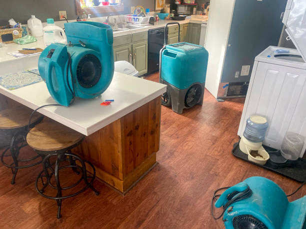 Best Flood damage cleanup  in Converse, TX