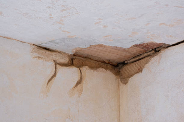 Best Water damage cleanup near me  in Converse, TX
