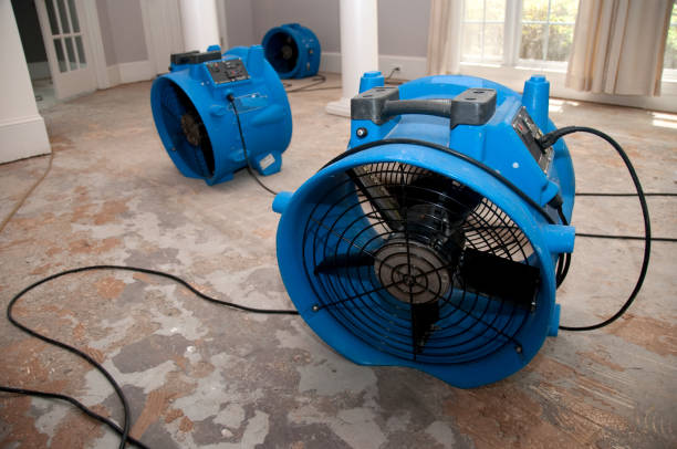 Best 24-hour water damage restoration  in Converse, TX