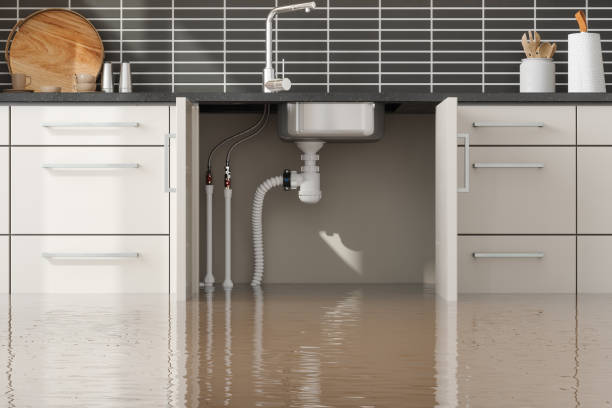 Best Mold removal after water damage  in Converse, TX
