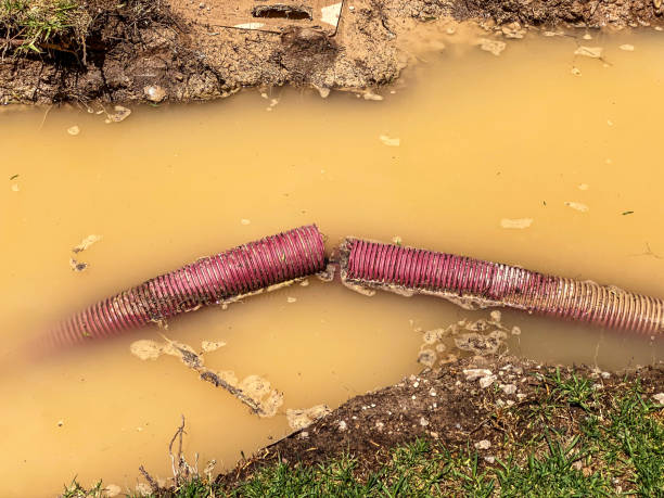  Converse, TX Water damage restoration Pros