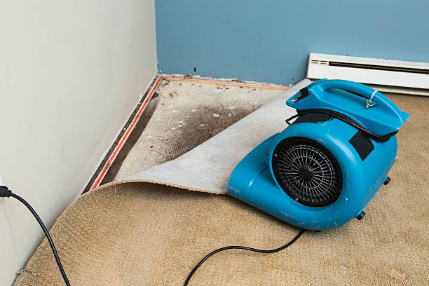 Best Sewage cleanup and water damage restoration  in Converse, TX